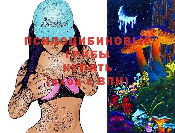 скорость Липки