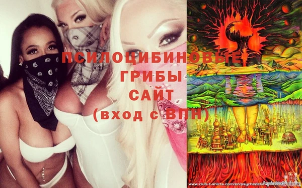 скорость Алзамай