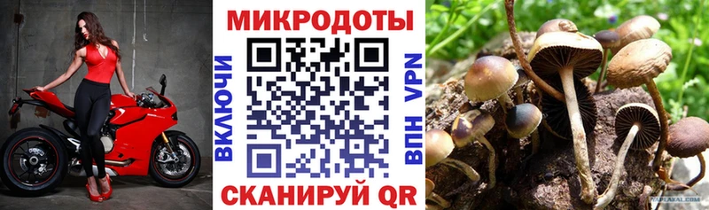 Псилоцибиновые грибы мухоморы  купить  цена  Калач-на-Дону 