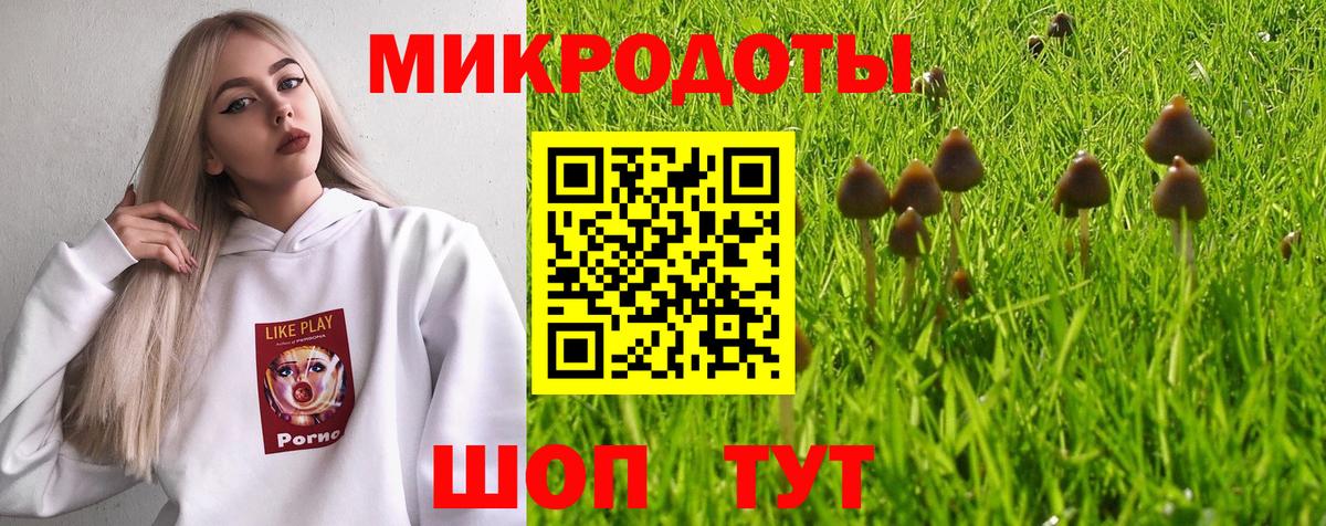 Псилоцибиновые грибы Psilocybine cubensis Калач-на-Дону