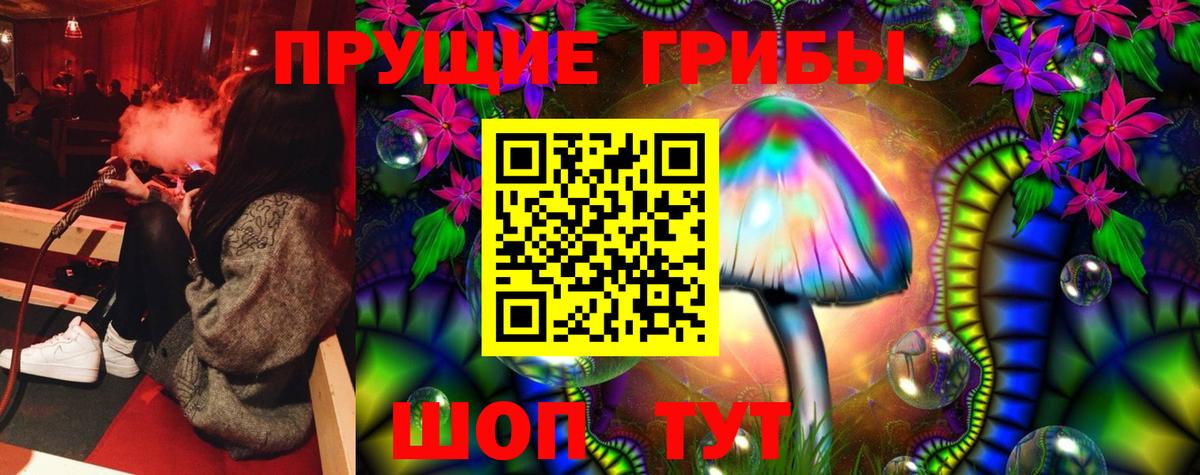 хочу наркоту  Галлюциногенные грибы Cubensis  Вход с VPN  Калач-на-Дону 